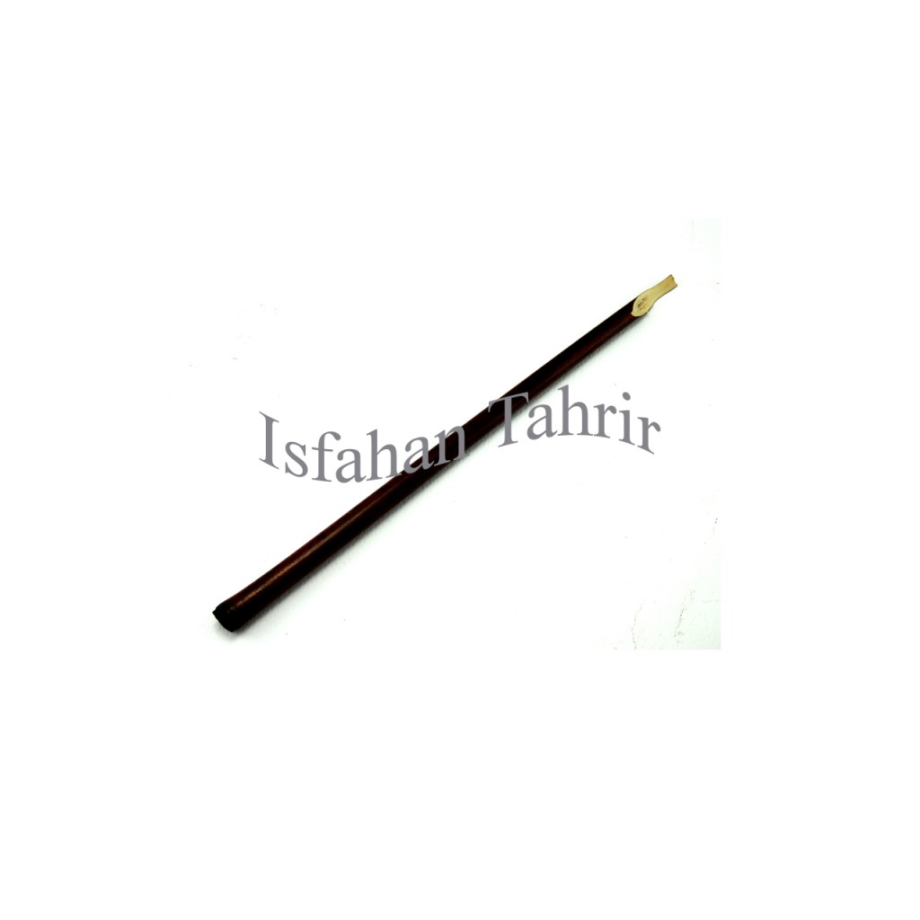 قلم نی دزفولی